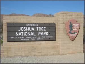 Entering Joshua Tree