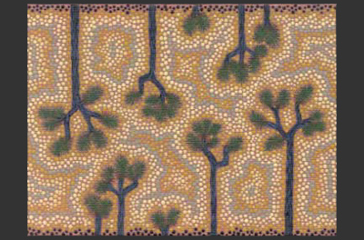 Joshua Tree Dreaming 12