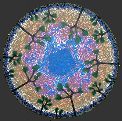 Joshua Tree Dreaming 13