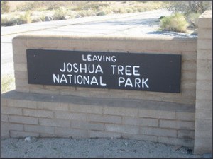 Leaving Joshua Tree